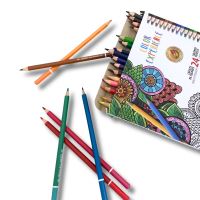 ALPINO Pack of 24 Premium Color Experience Pencils (1)