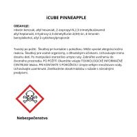 Electronic cigarette #iCUBE 1000 - Pineapple Ice 20mg (3)